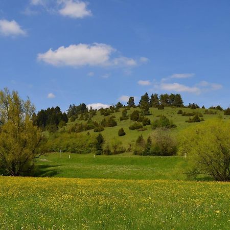 Casa Wiesenblick Nuertingen Luaran gambar