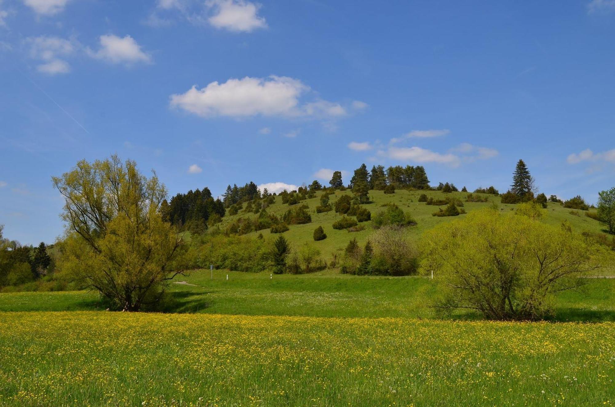 Casa Wiesenblick Nuertingen Luaran gambar